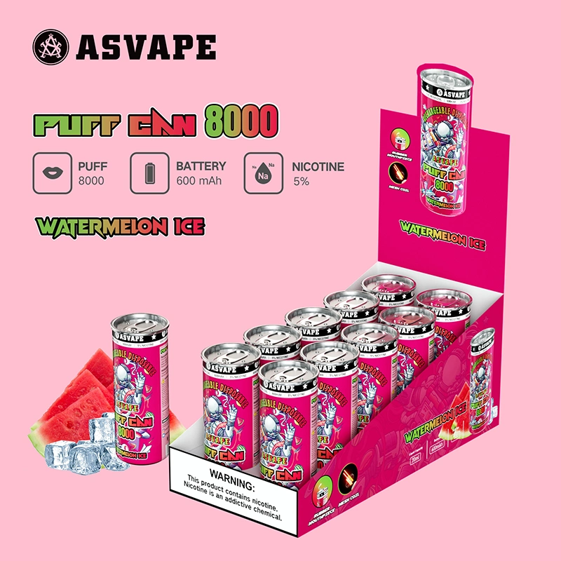 Hot Vapes Wholesale Original Asvape Disposable 8000puffs 600mAh Rechargeable