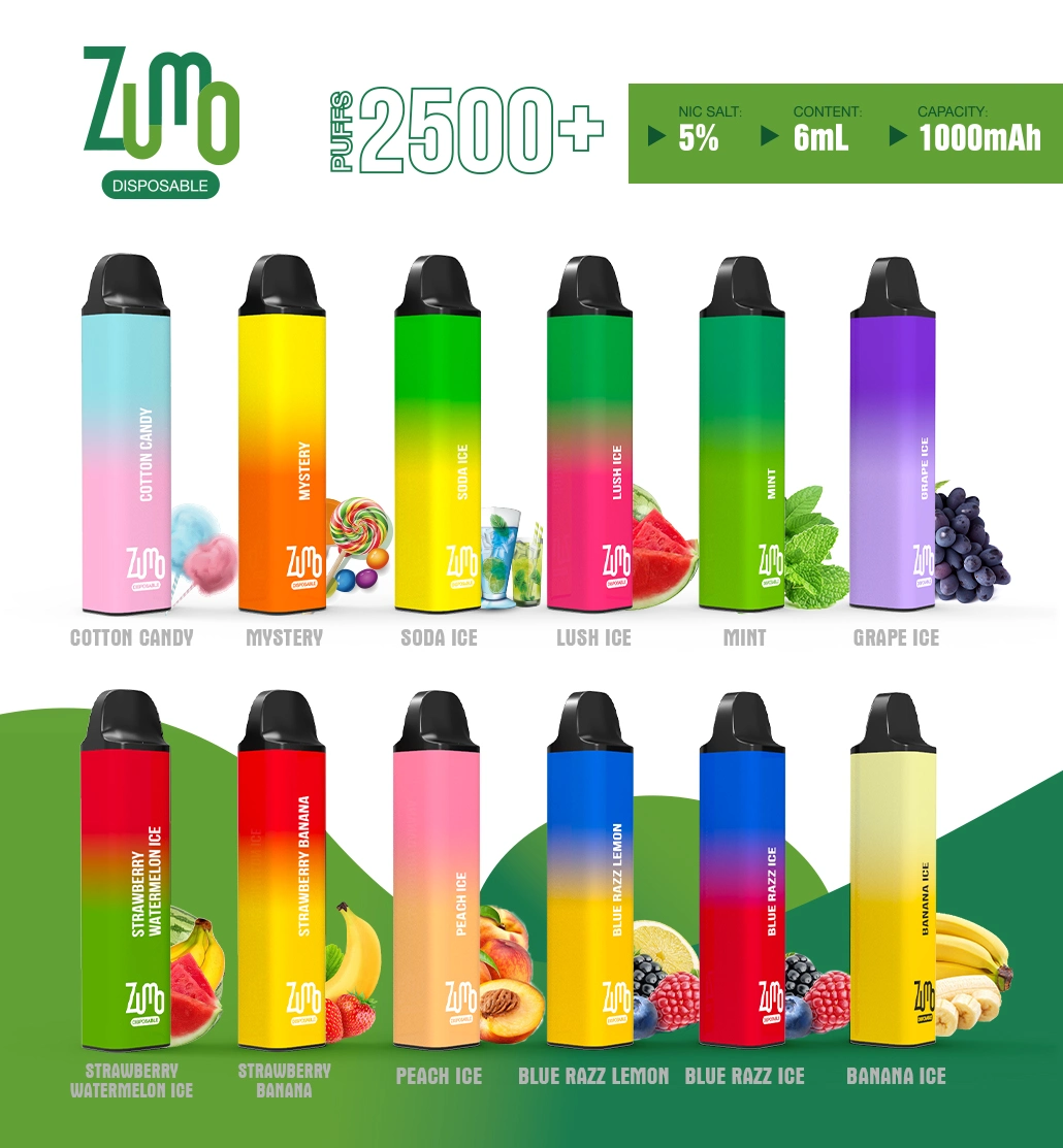 Best Quality Manufacture E Cigarette 2500puffs Disposable Vape with Tropical Fruit Flavors Device