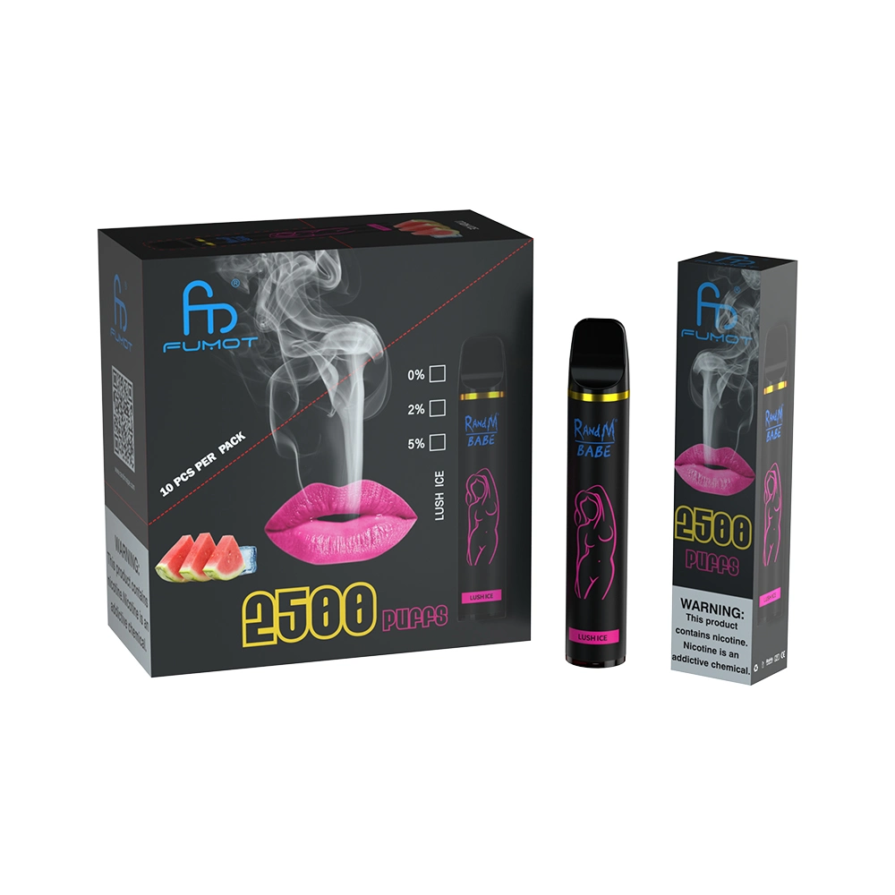 Fast Shipping Wholesale Disposable Mesh Vape 2500puffs Randm Babe with Sexy Graffiti Design